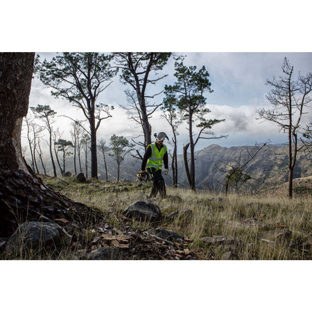 Pilarka łańcuchowa bezszczotkowa 30cm 18V DeWalt